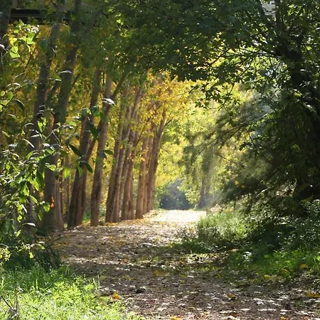 Aguascebas
